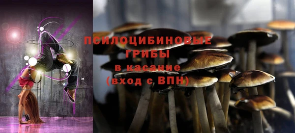 дживик Бугульма