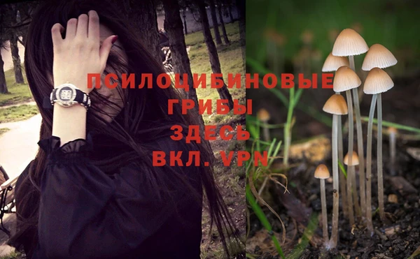 дживик Бугульма