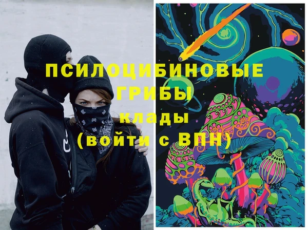 дживик Бугульма